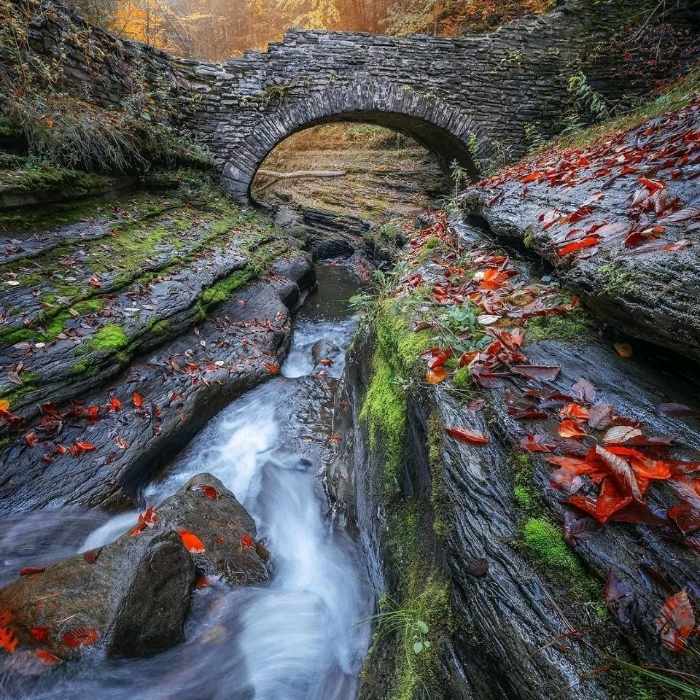 آهنگ جدید  چی میخوای اون با من از اون سفیدا اون با من